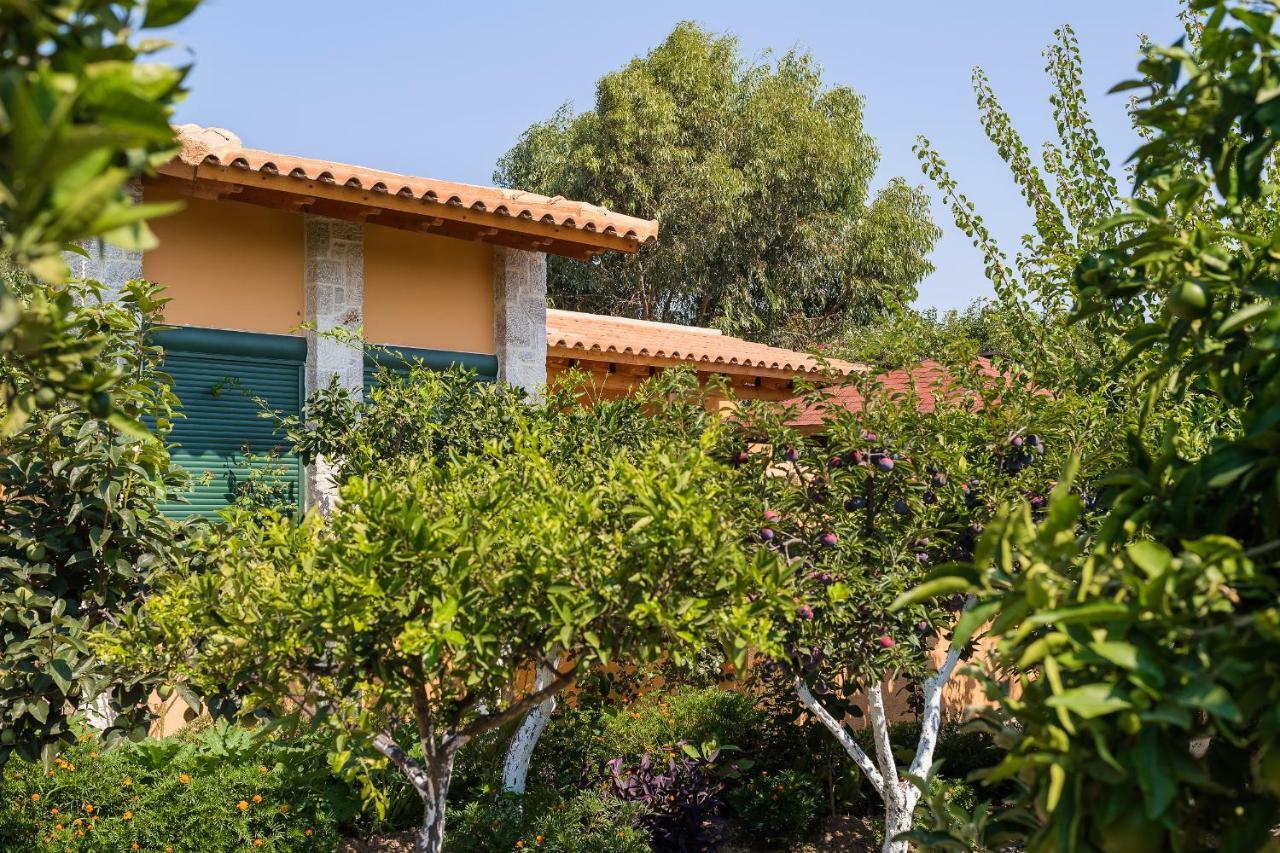 Eleftherias Garden House أفانتو المظهر الخارجي الصورة