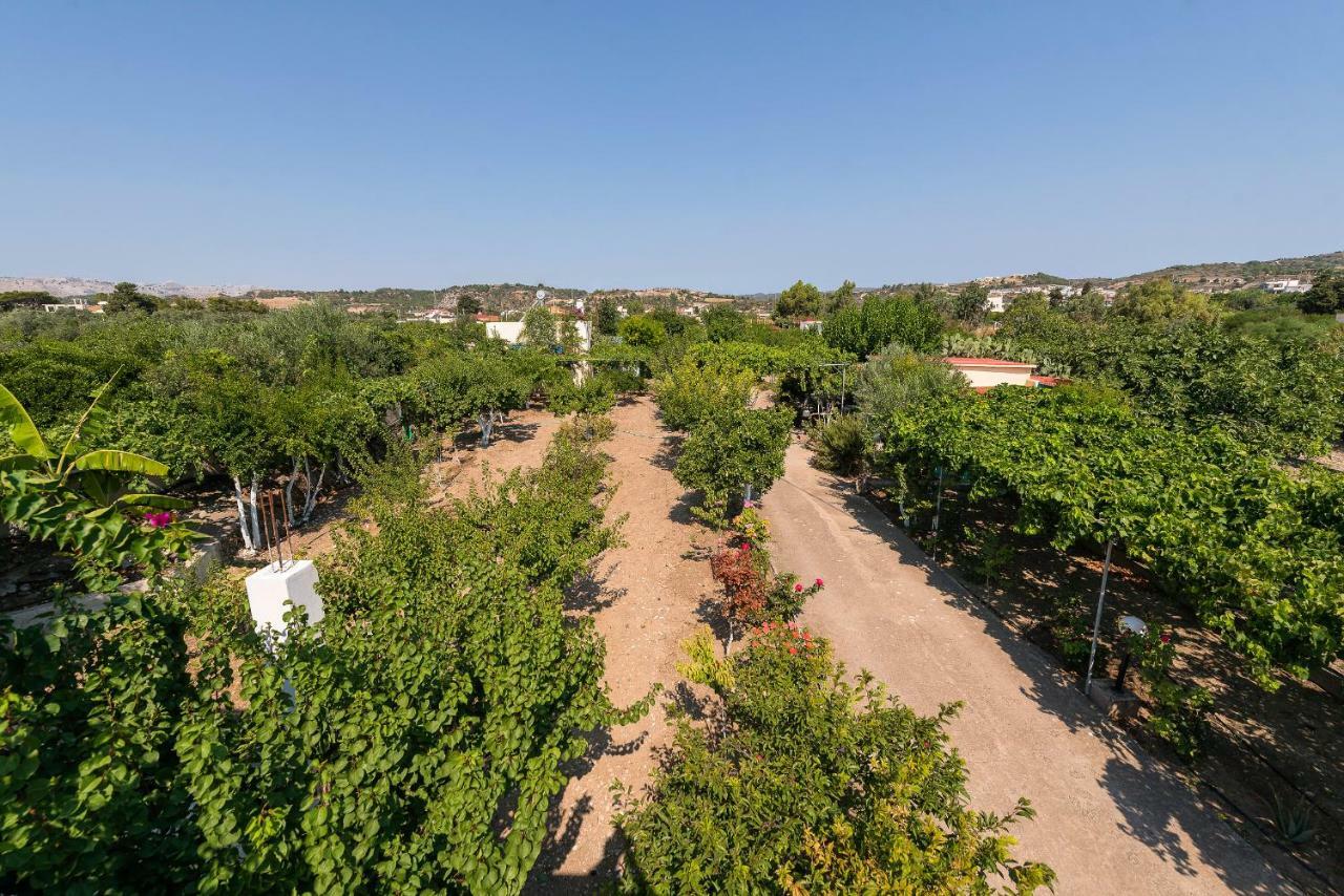 Eleftherias Garden House أفانتو المظهر الخارجي الصورة
